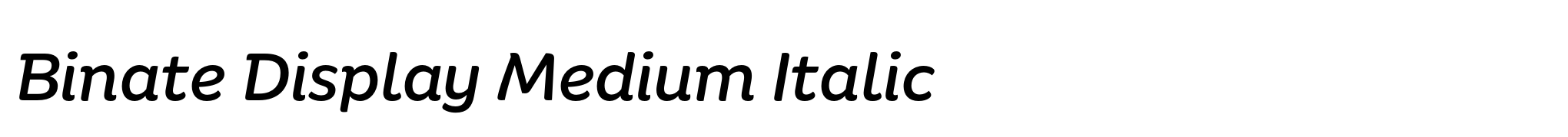 Binate Display Medium Italic image
